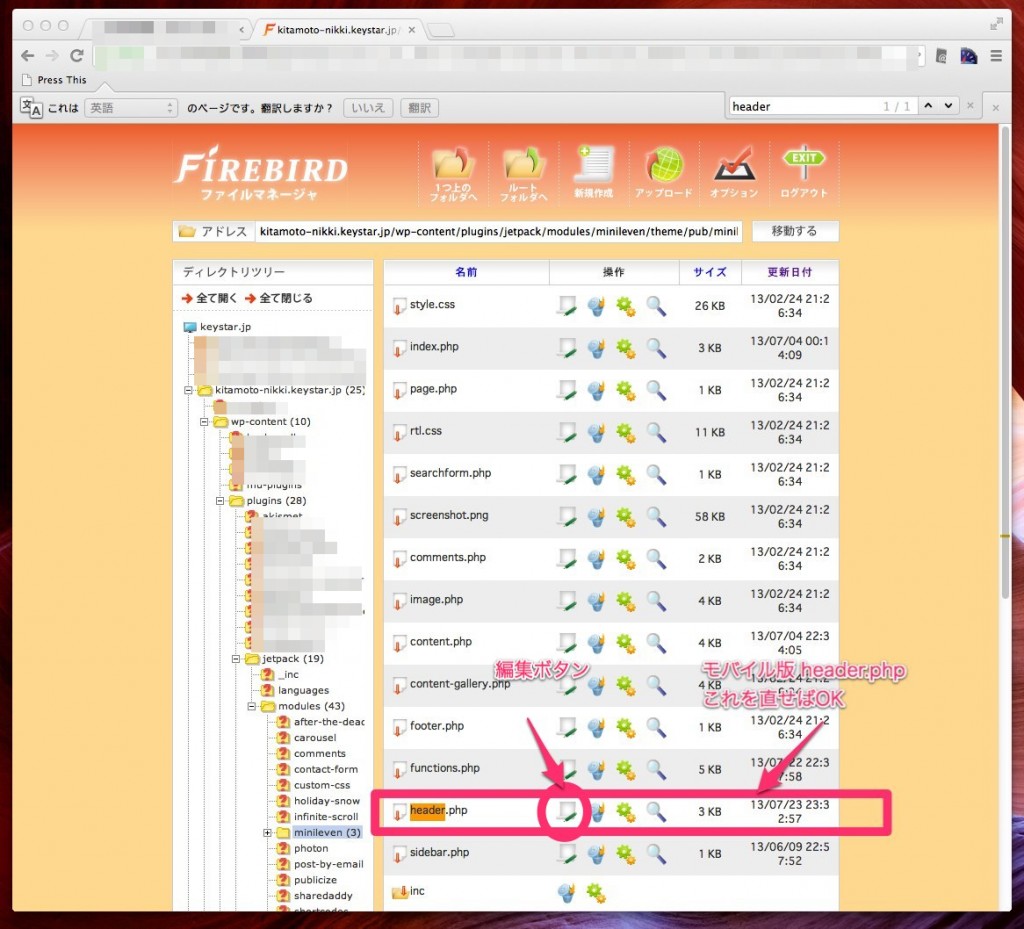 firebird-google-adsense